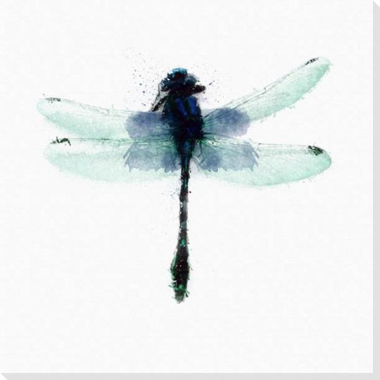 Inked Dragonfly 4 Wrapped Canvas Giclee Print Wall Art