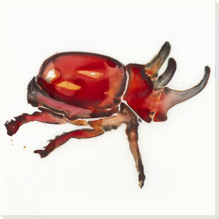 Red Stag Beetle Bug Wrapped Canvas Giclee Print Wall Art