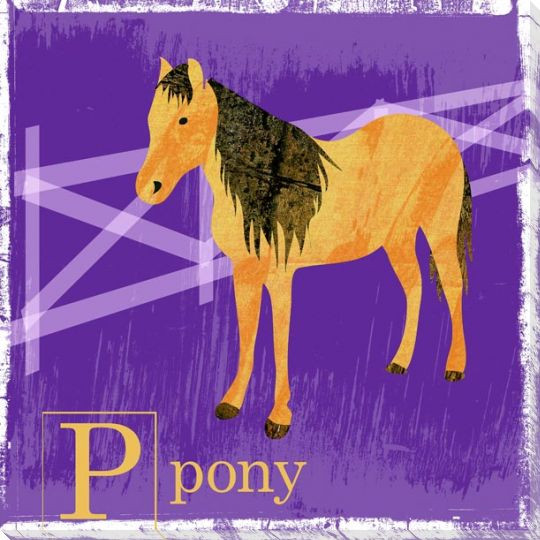 Pony Friend Wrapped Canvas Giclee Print Wall Art