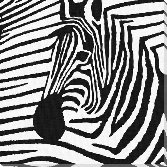 Zebra 4 Wrapped Canvas Giclee Print Wall Art
