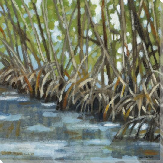 Mangroves I Wrapped Canvas Giclee Print Wall Art