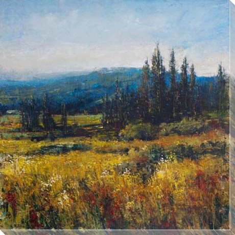 Pacific Northwest I Wrapped Canvas Giclee Print Wall Art