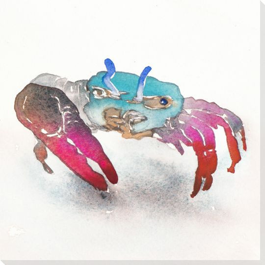 Lil' Crab Wrapped Canvas Giclee Print Wall Art