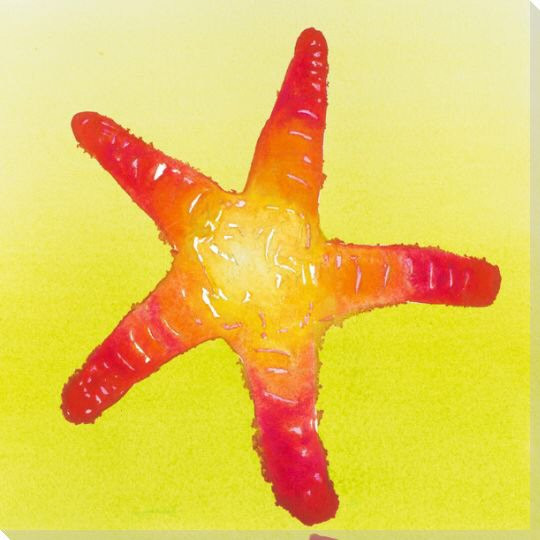 Red Starfish Wrapped Canvas Giclee Print Wall Art