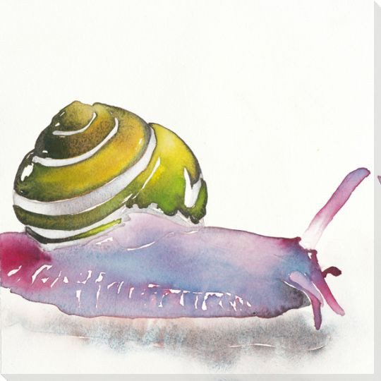 Slow Art Snail Wrapped Canvas Giclee Print Wall Art
