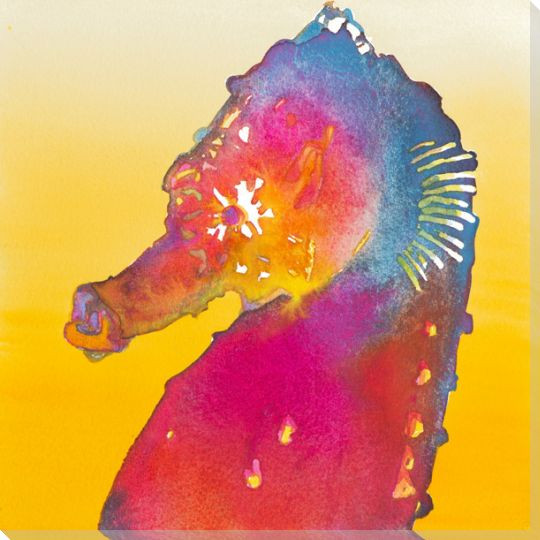 Rainbow Sea Horse Wrapped Canvas Giclee Print Wall Art