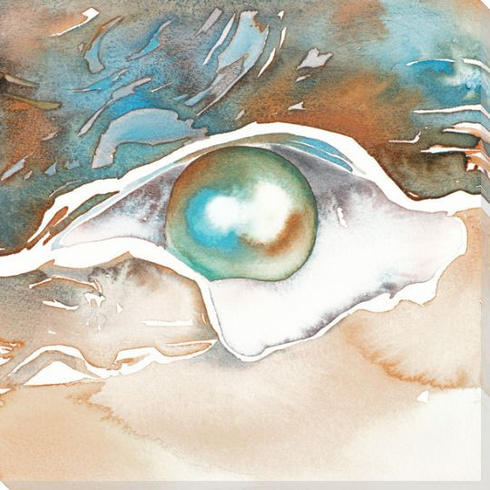 Beauty from Within Oyster with a Pearl Wrapped Canvas Giclee Art Print
