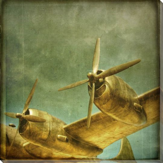 To Soar Plane Wrapped Canvas Giclee Print Wall Art