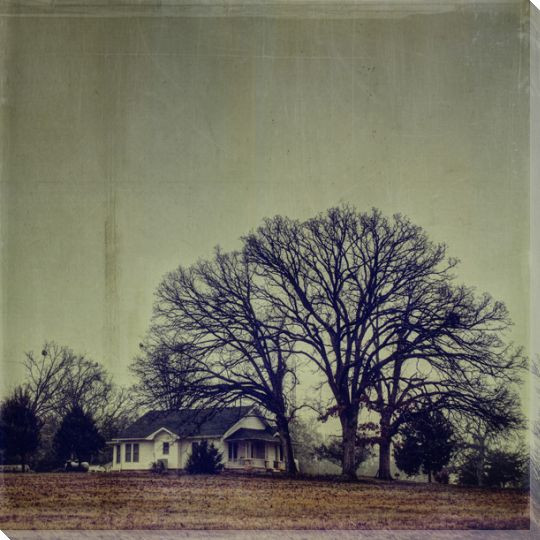 Three Oak Trees and a House Wrapped Canvas Giclee Print Wall Art