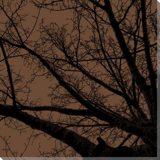Twilight Trees Mushroom Left Wrapped Canvas Giclee Print Wall Art