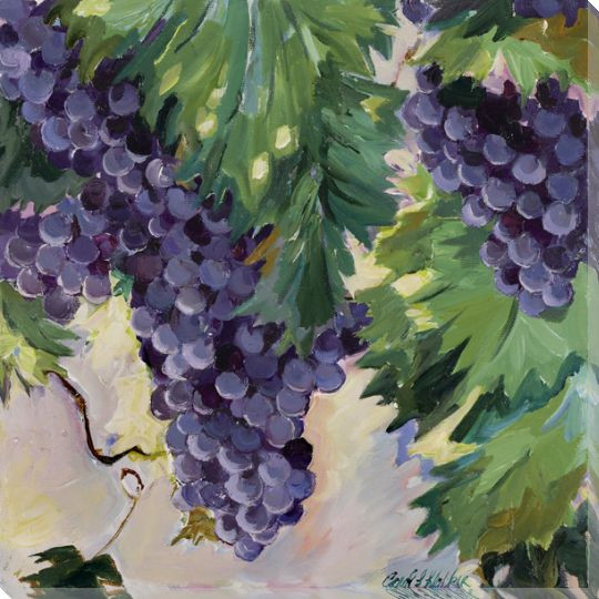 Pinot Grapes Wrapped Canvas Giclee Print Wall Art