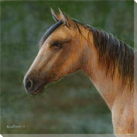 Mustang Horse Wrapped Canvas Giclee Print Wall Art