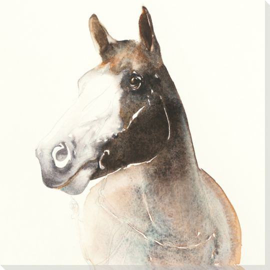 Chances Horse Wrapped Canvas Giclee Print Wall Art