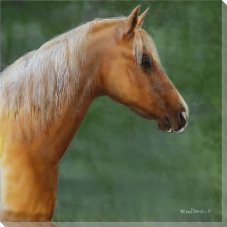 Palomino Horse Wrapped Canvas Giclee Print Wall Art