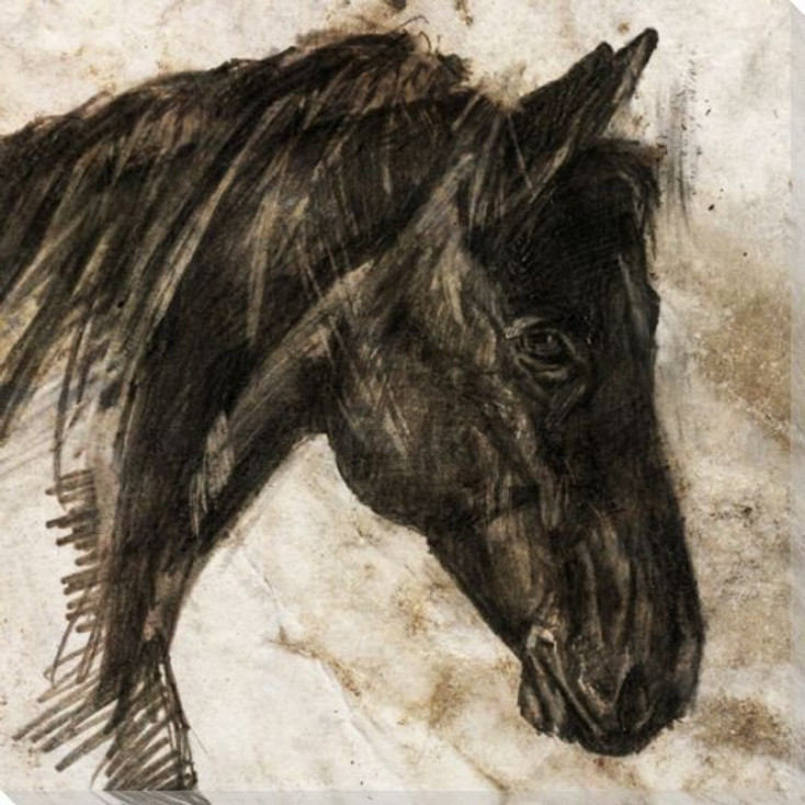 Stone-Litho Horse Wrapped Canvas Giclee Print Wall Art