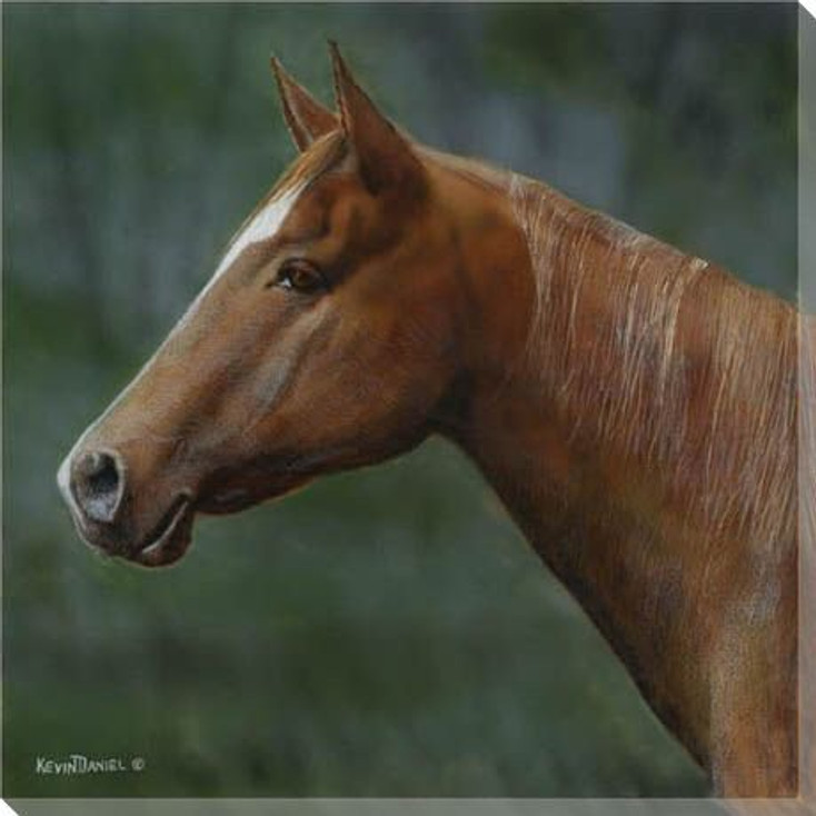 Quarter Horse Head Wrapped Canvas Giclee Print Wall Art