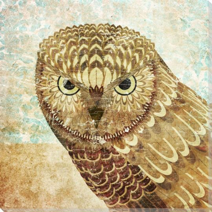 Owl Bird III Wrapped Canvas Giclee Print Wall Art