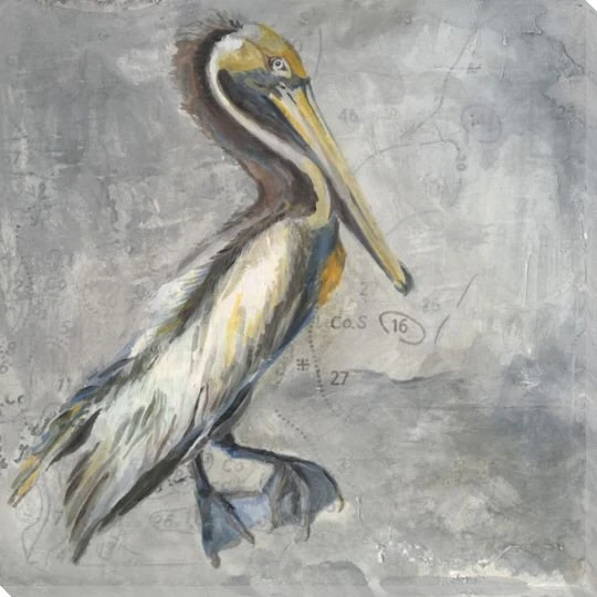 Pelican Bird Wrapped Canvas Giclee Print Wall Art
