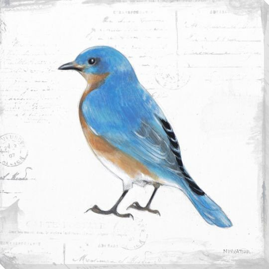 Bird Watcher IV Wrapped Canvas Giclee Print Wall Art