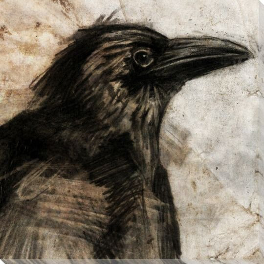 Stone Litho Crow Bird Wrapped Canvas Giclee Print Wall Art