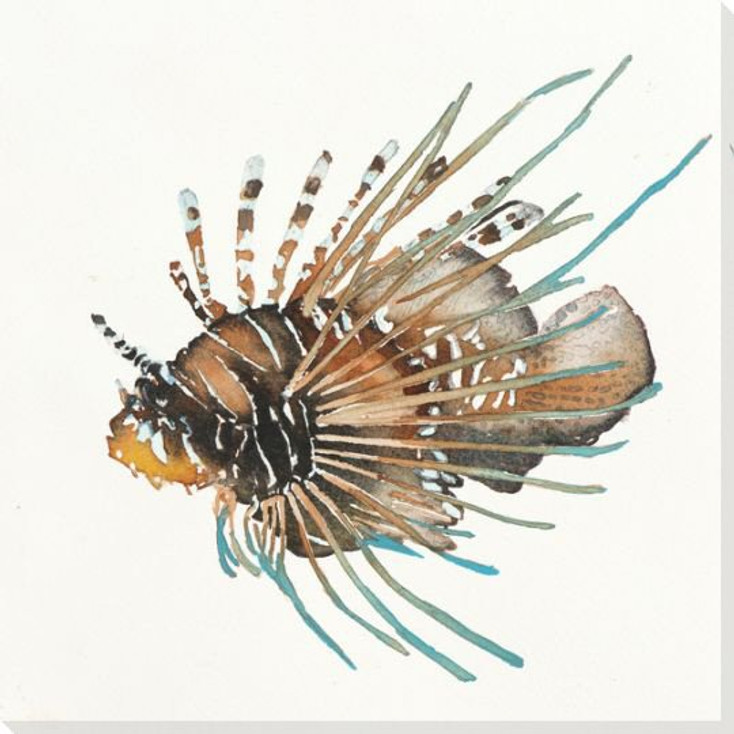 Lion Fish Wrapped Canvas Giclee Print Wall Art