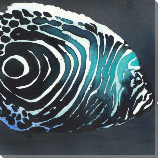Zebra Fish Wrapped Canvas Giclee Print Wall Art