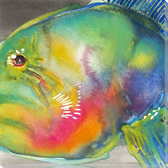 Parrot Fish Wrapped Canvas Giclee Print Wall Art