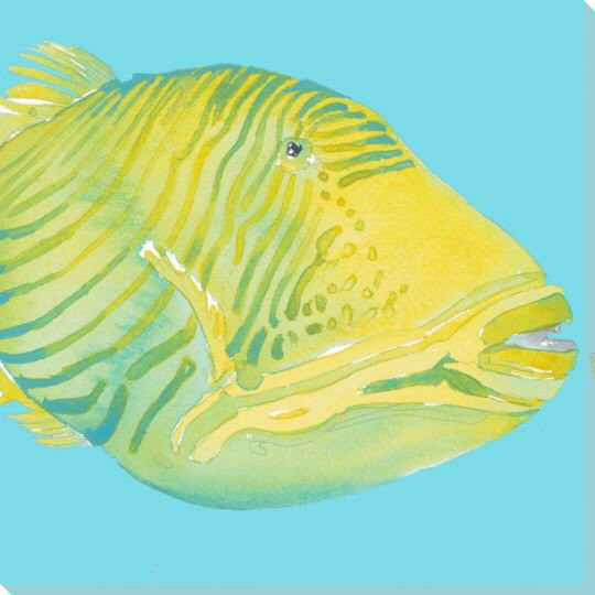 Parrot Fish 2 Wrapped Canvas Giclee Print Wall Art
