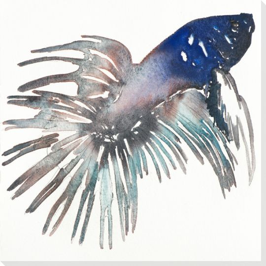 Blue Siamese Fish Wrapped Canvas Giclee Print Wall Art