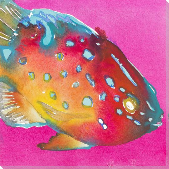 Rainbow Fish Surprise Wrapped Canvas Giclee Print Wall Art