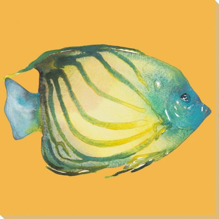 Striped Fish on Yellow Wrapped Canvas Giclee Print Wall Art