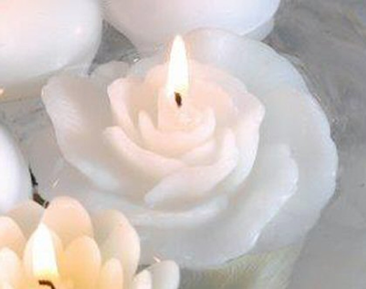 White Rose Candle Floats Floating Candles, Set of 12