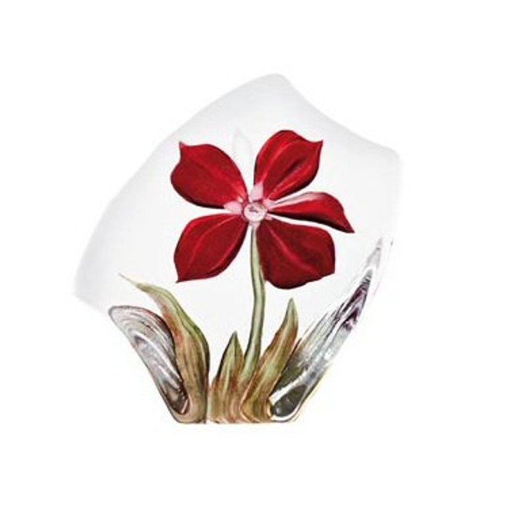 Red Obia Flower Etched Crystal Sculpture by Mats Jonasson