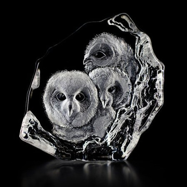 Owlets Etched Crystal Sculpture by Mats Jonasson