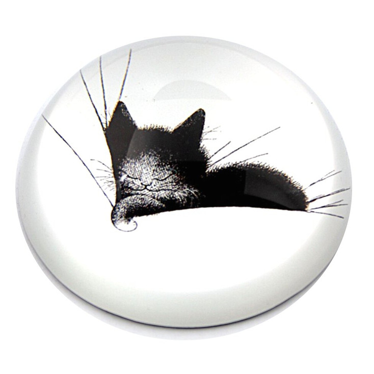 Kitty Sleeping on a Pillow Glass Paperweight by Albert Dubout
