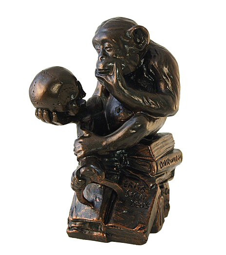 Monkey with Skull Statue by Rheinhold