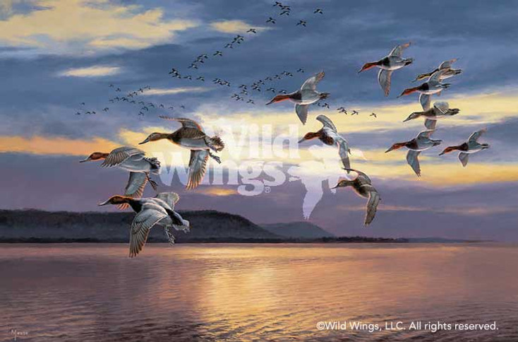 Daybreak at Lake Pepin Canvasback Canvas Giclee Art Print Wall Art