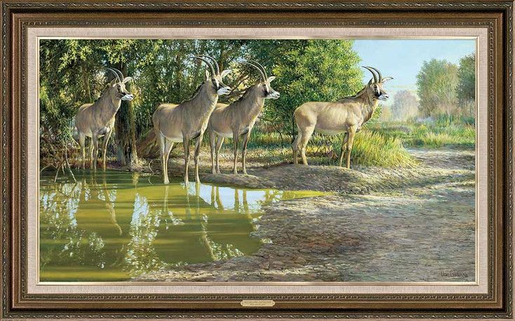 All Aglow Roan Antelope Framed Canvas Giclee Art Print Wall Art
