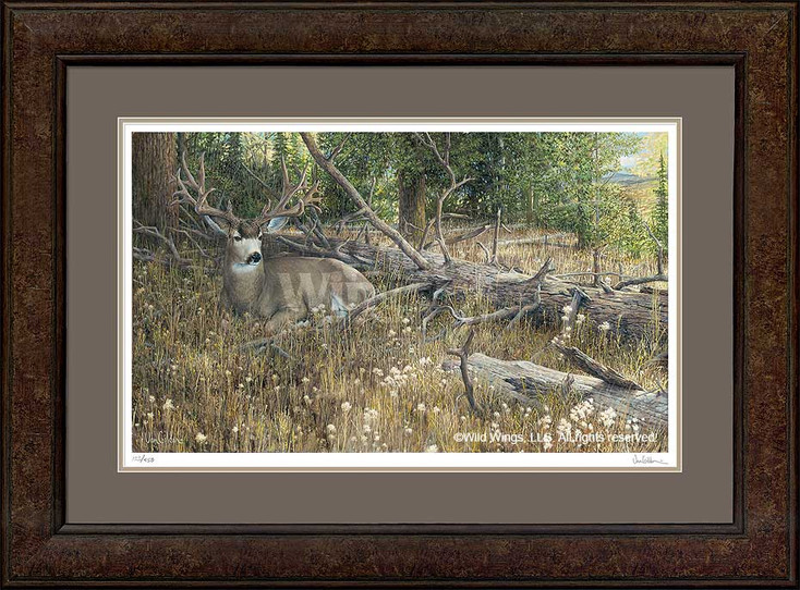 Blow Down Buck Mule Deer Framed Art Print Wall Art