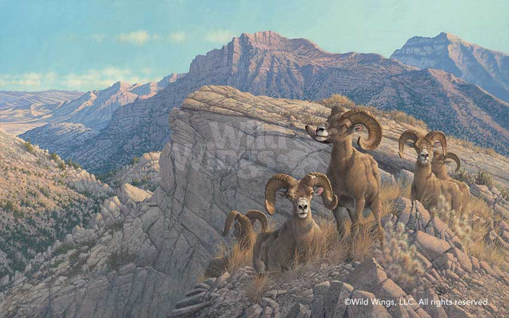 Desert Kings Bighorn Rams Canvas Giclee Art Print Wall Art