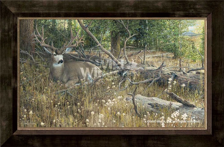 Blow Down Buck Mule Deer Framed Canvas Giclee Art Print Wall Art