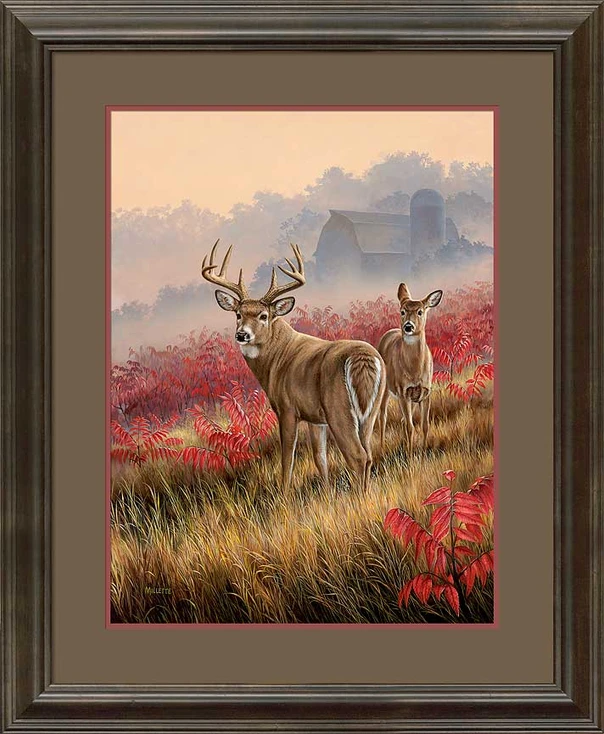 Lifting Fog Whitetail Deer Framed Art Print Wall Art