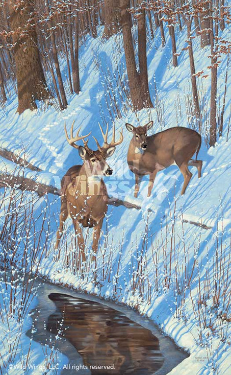 Shadows of Bowhunting Whitetail Deer Art Print Wall Art