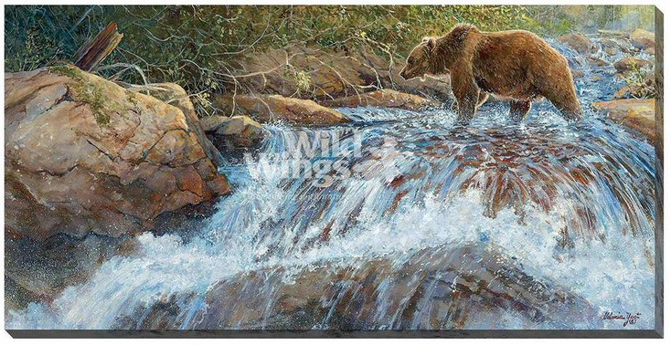 Wilderness Walk Grizzly Bear Wrapped Canvas Giclee Print Wall Art