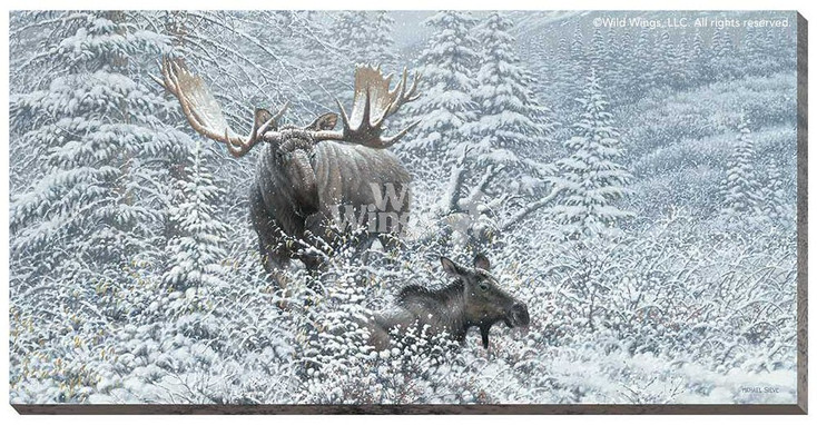 Patient Suitor Moose Wrapped Canvas Giclee Print Wall Art