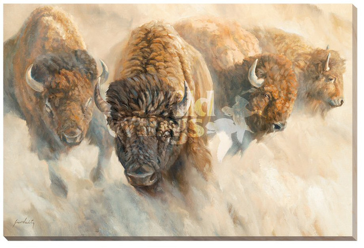 Dust of Time Bison Wrapped Canvas Giclee Print Wall Art