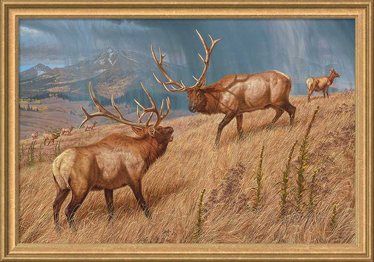 Storm Brewin' Elk Framed Canvas Art Print Wall Art