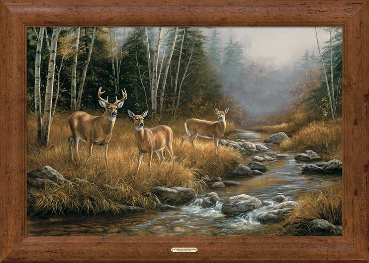 October Mist Whitetail Deer Framed Canvas Art Print Wall Art