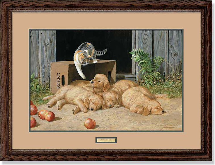 The Wake Up Call Kitten Waking Up Puppies Framed Art Print Wall Art