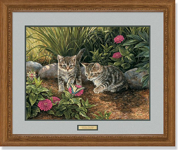 Double Trouble Kittens Framed Art Print Wall Art